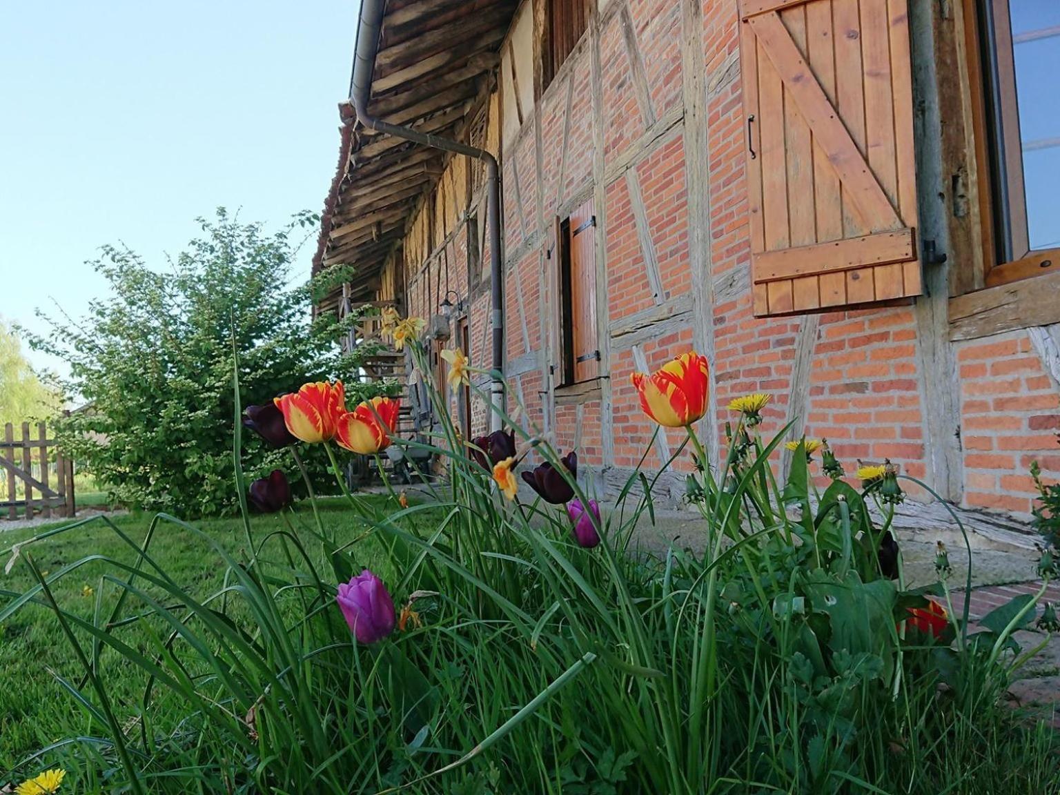 A La Poularde B&B Curciat-Dongalon Oda fotoğraf
