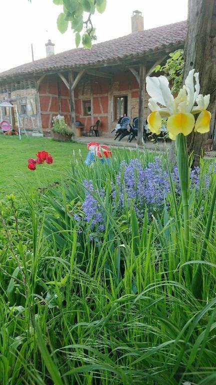 A La Poularde B&B Curciat-Dongalon Oda fotoğraf